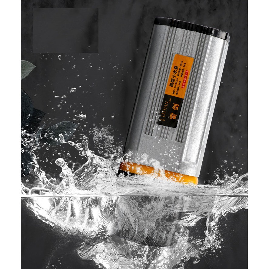 Máy bơm nước mini 12V