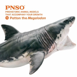 Mô hình PNSO Patton The Megalodon