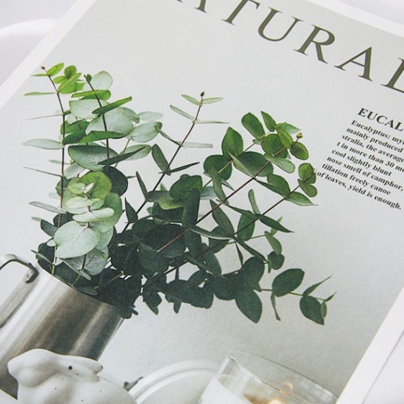 Ảnh bìa sách đẹp phụ kiện trang trí chụp ảnh sản phẩm xin xắn. postcard decor