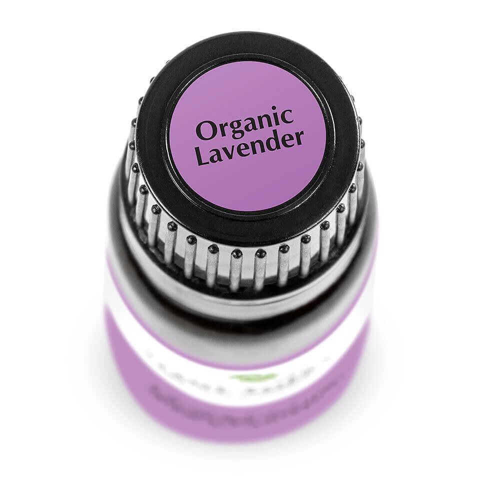 Tinh dầu hoa oải hương hữu cơ Plant Therapy - Organic Lavender Essential Oil Plant Therapy - Kidsafe