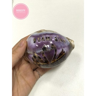 [QUÀ LƯU NIỆM QUẢNG BÌNH] Ốc Gấm Khắc Hình Quảng Bình