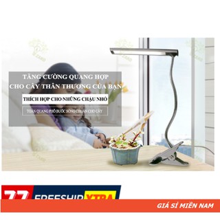 Đèn Đọc Sách Bảo Vệ Mắt Kết Hợp Ánh Sáng Quang Hợp Cho Cây Để Bàn 01 - Zako