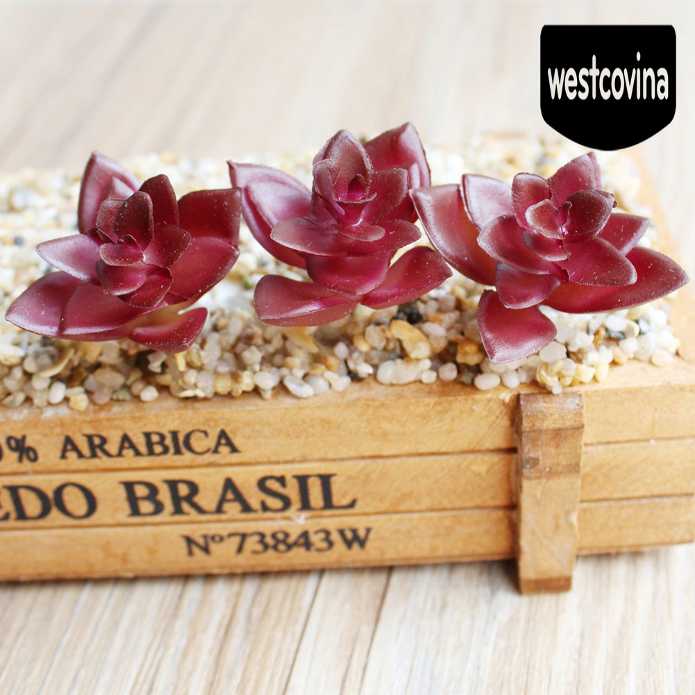 [Hot]☀ Chậu Cây Bonsai Để Bàn Trang Trí Văn Phòng / Nhà Cửa DIY