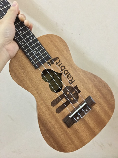 ĐÀN UKULELE MUSIC HÌNH THỎ RABBIT