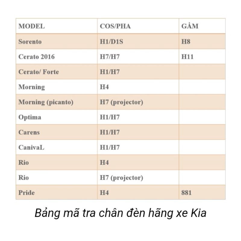 Bóng Đèn Ô Tô 365-Auto H1 Standard 12V