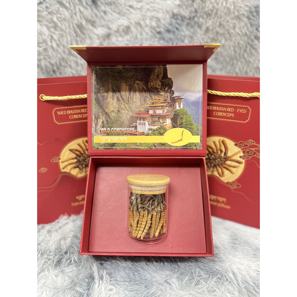 SET TÚI VÀ HỘP ĐỰNG ĐÔNG TRÙNG HẠ THẢO - KHAY ĐƠN