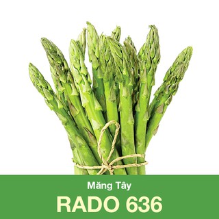 Măng Tây RADO 636