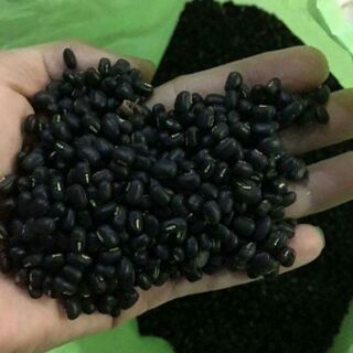 Đậu đen xanh lòng(1kg)
