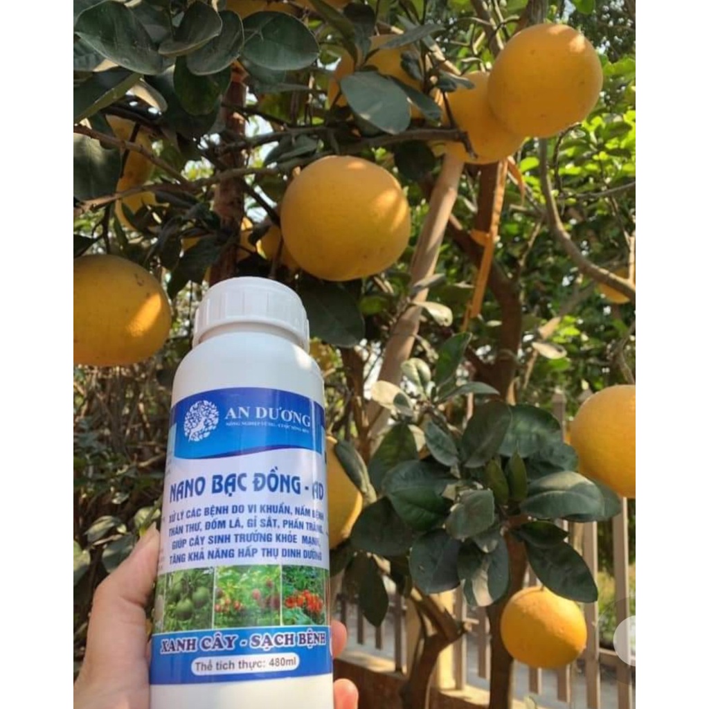 Nano bạc đồng trị nấm thán thư, thối thân, thối nhũn, vàng lá, thối rễ,...