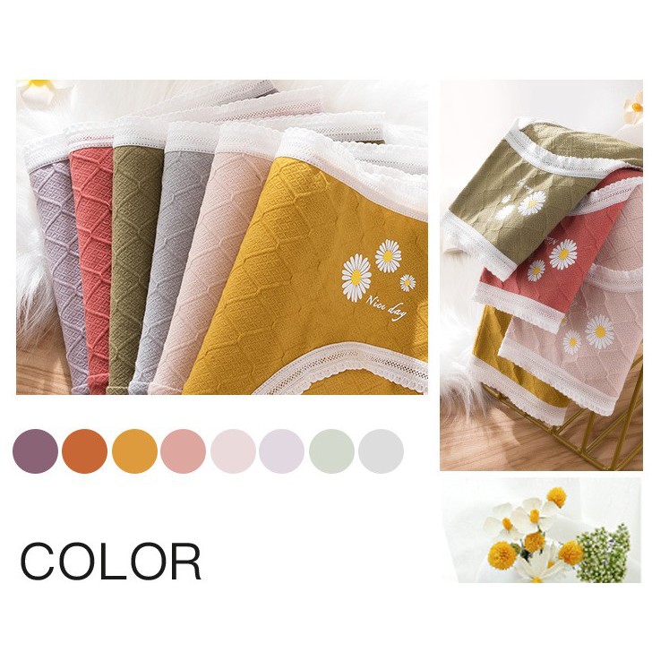[ Chọn màu, che tên ] Quần lót quần chip cotton nữ cao cấp thoáng khí kháng khuẩn | BigBuy360 - bigbuy360.vn