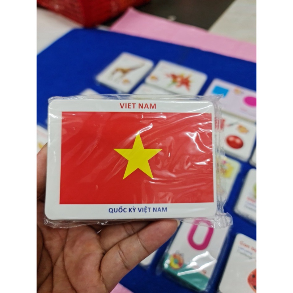 Bộ Thẻ Học Thông Minh 416 Thẻ 16 Chủ Đề Song Ngữ Anh-Việt Theo Phương Pháp Glenn Doman TRITUEVIET
