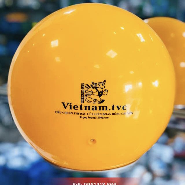 Bóng chuyền hơi Đầu Trâu