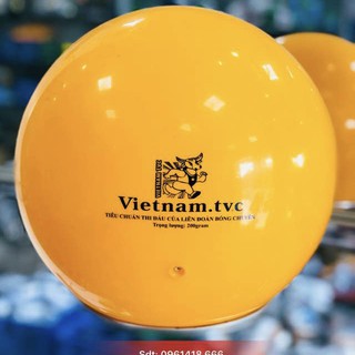 Bóng chuyền hơi Đầu Trâu