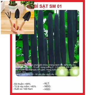 Hạt giống Bí Sặt 2gram TẶNG BỘ LÀM VƯƠN MINI