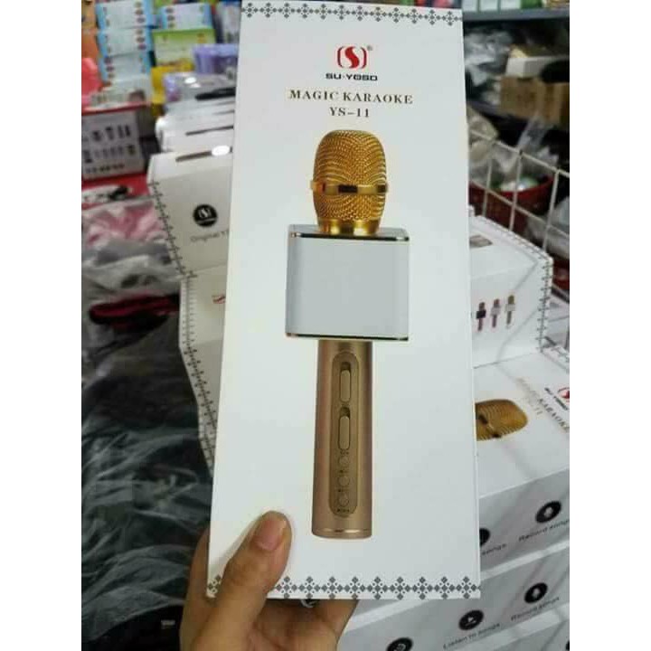 MIC YS 11 KÈM LOA