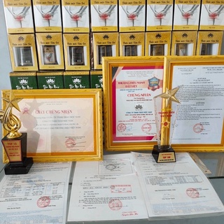 CHÈ GIÃN TĨNH MẠCH THẢO MỘC NAM