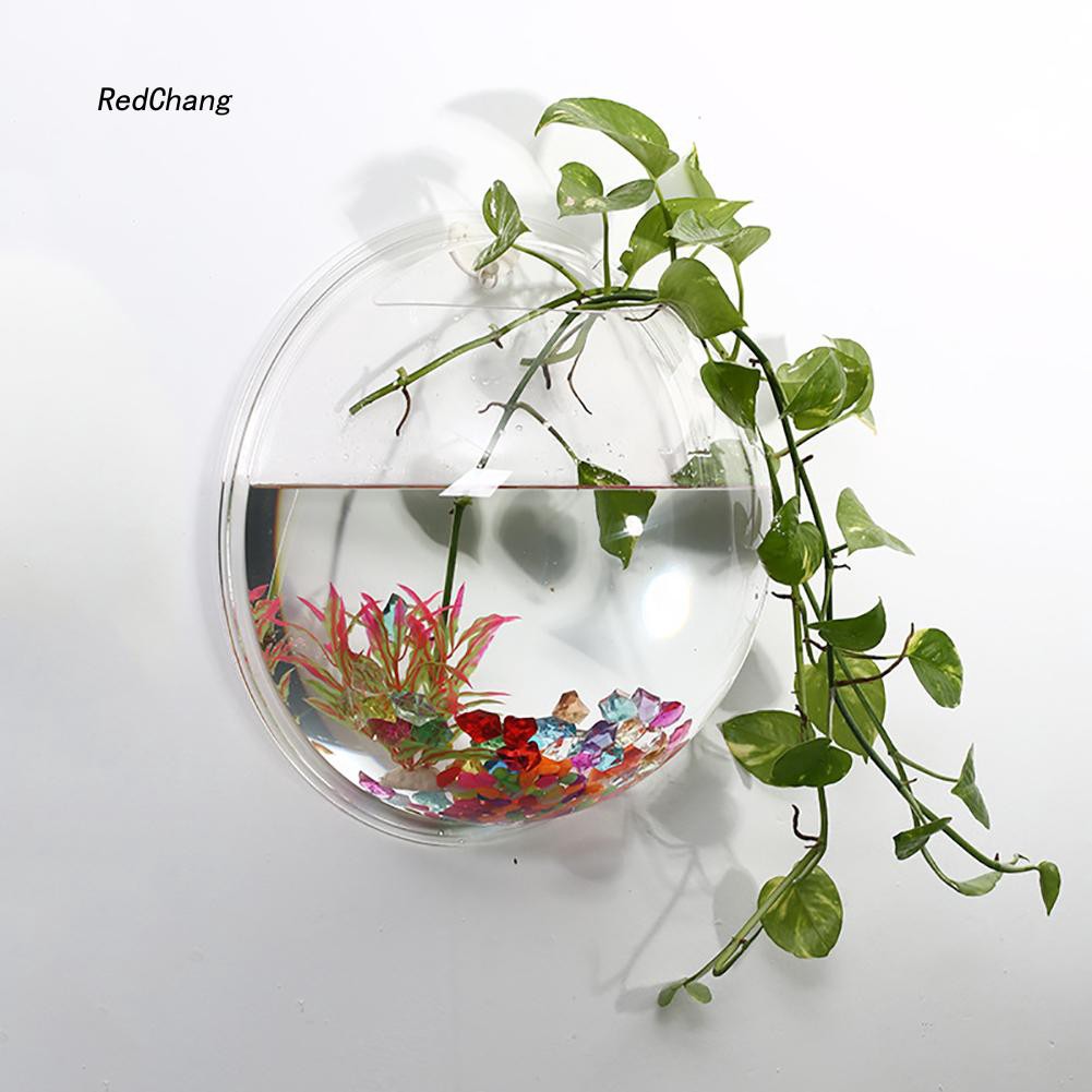 Bể cá / bình hoa treo tường trong suốt thiết kế sáng tạo độc đáo