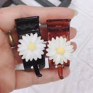 Sỉ 12 Cặp ba răng hoa cúc họa mi hot - SP001075