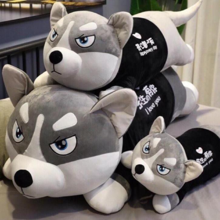 Gấu bông Chó Husky Siêu To Khổng Lồ - gối ôm chó ngáo - hình thât