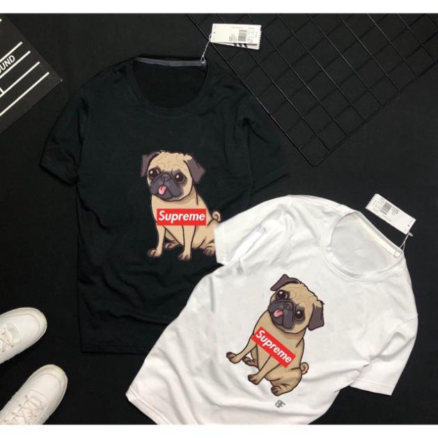 ÁO THUN CAO CẤP PULLDOG SIÊU CƯNG