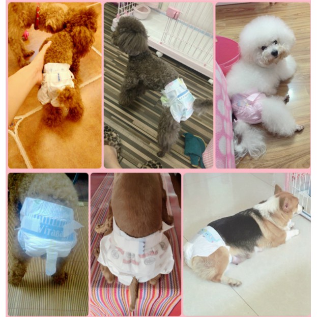 Tã Bỉm Vệ Sinh Dono Cho Chó Mèo - Phụ kiện thú cưng - ShopPetAz