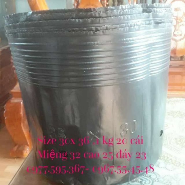 1kg bầu ươm 30x 36/ 21 cái