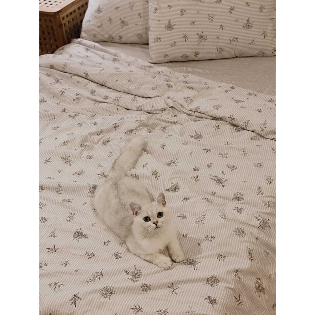 Bộ chăn ga và vỏ gối cotton living cao cấp Mùa Decor - Hoa Trắng Vintage