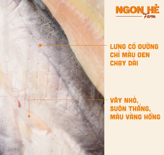 [HÀNG GIAO LIỀN] Khô Cá Dứa một nắng Cần Giờ chắc thịt, vừa miệng (600g - 1kg)