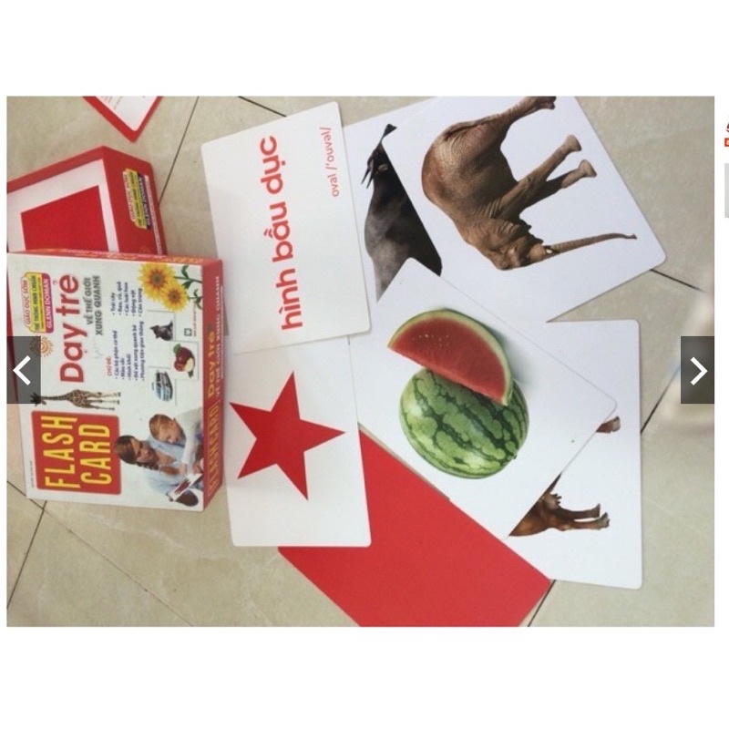 sách - Flashcard - Dạy Trẻ Về Thế Giới Xung Quanh