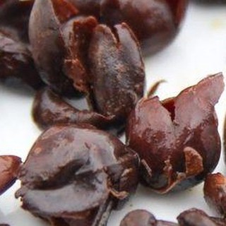 CASCARA TEA - Trà vỏ cà phê