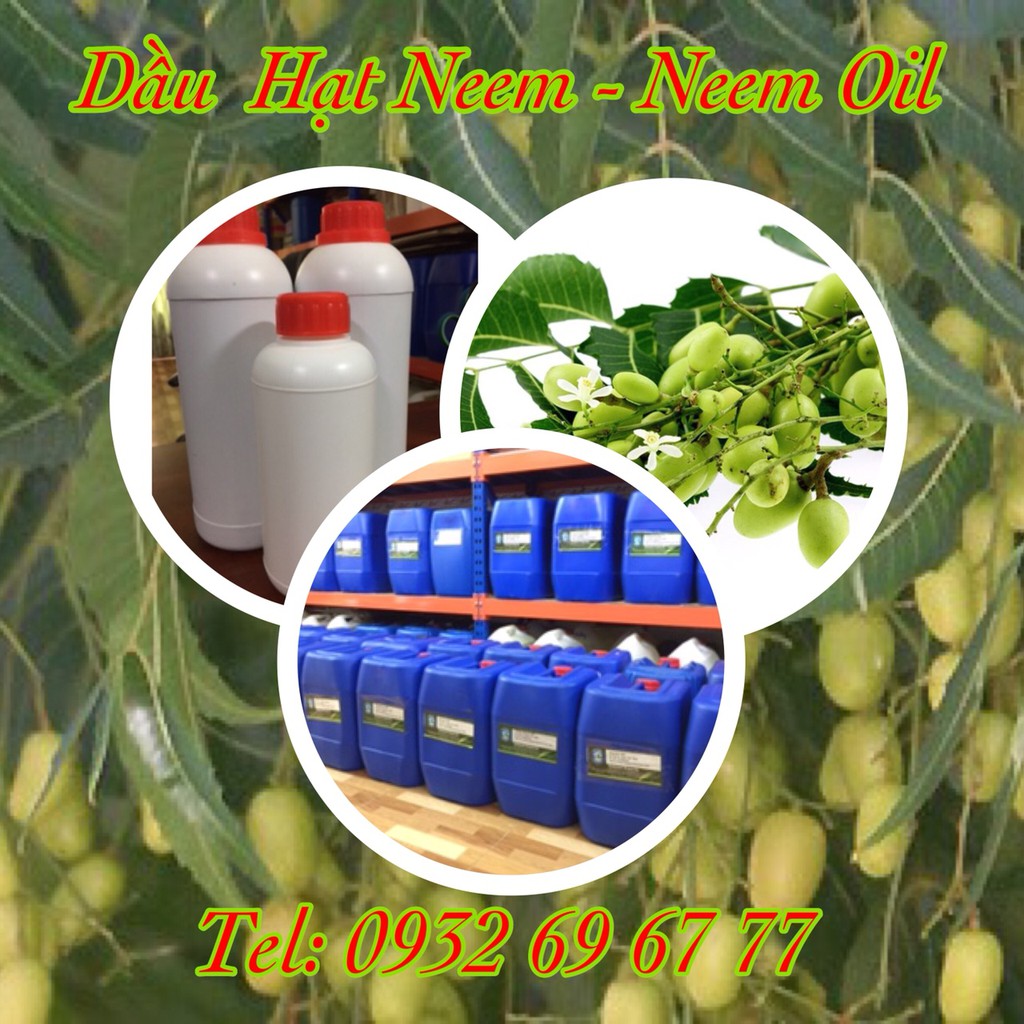 DẦU NEEM -500ml