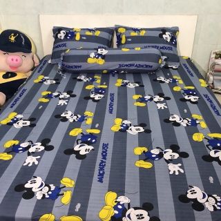 Bộ drap thun hàn quốc