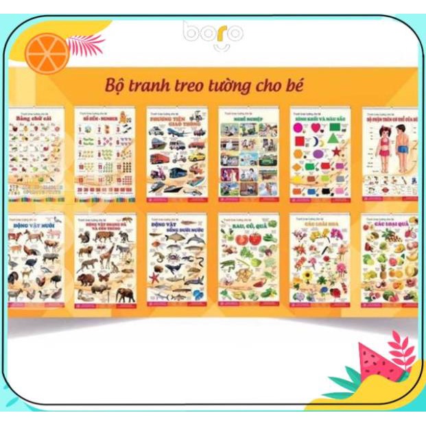 Bộ Tranh 14 Chủ Đề Về Thế Giới  Xung Quanh Cho Bé Phát Triển Nhận Thức