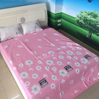 HOT - CHĂN ĐŨI MỎNG MÙA HÈ