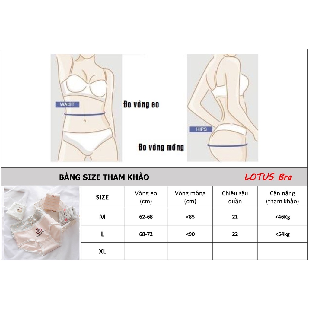 Set 5 quần lót nữ cotton NuciFera nhiều mẫu hình Sweet Love