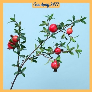 Cành hoa lựu giả Cành lựu Hoa nhựa lựu 6 quả Trang trí phòng khách May mắn tài lộc Decor nhà cửa