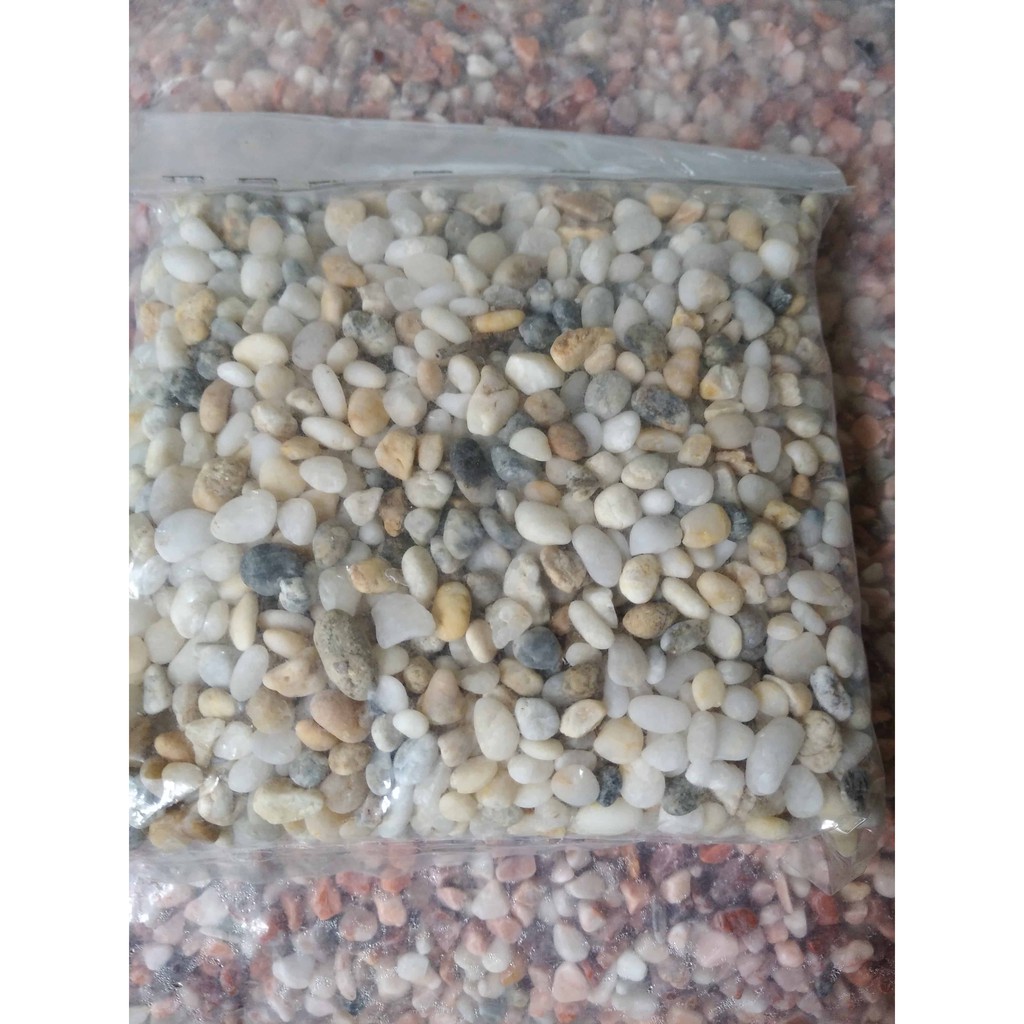 Sỏi đá tự nhiên sỏi biển trang trí tiểu cảnh hồ cá 1kg