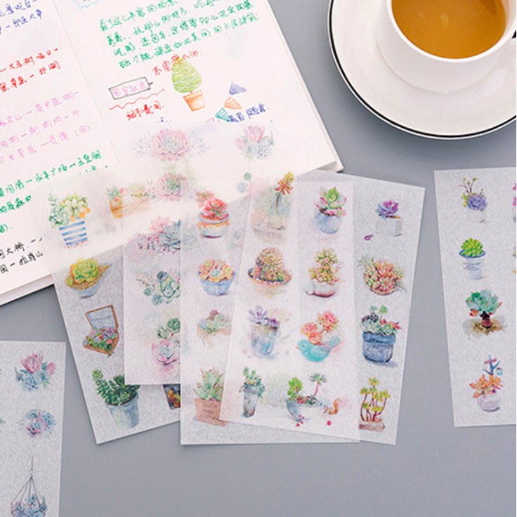 Set 6 tập sticker trang trí cây xương rồng Cantus
