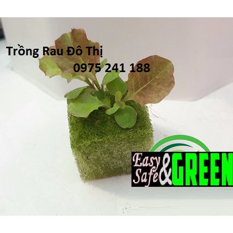 96 viên mút xốp ươm hạt kích thước 25 x 25 x 25mm trồng rau thủy canh, hàng nhật chất lượng cao