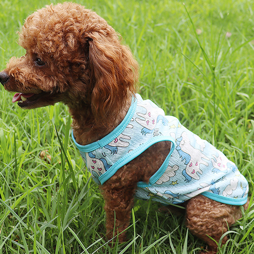 Áo Thun In Hình Cho Thú Cưng