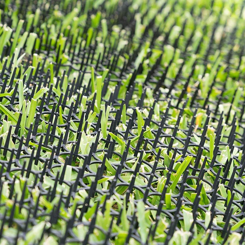 Hàng Rào Gai Chống Chó Mèo 13cmx49cm