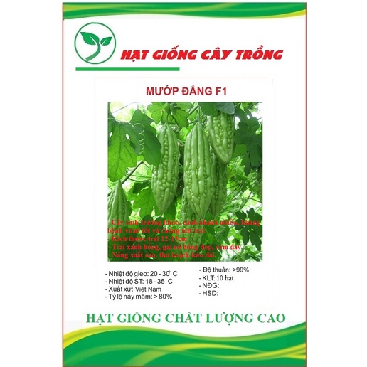 Hạt giống khổ qua lai F1 ( mướp đắng ) CT26 - Gói 10 hạt