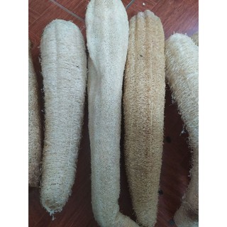 Xơ mướp khô nguyên quả, kích thước 20 - 25 cm