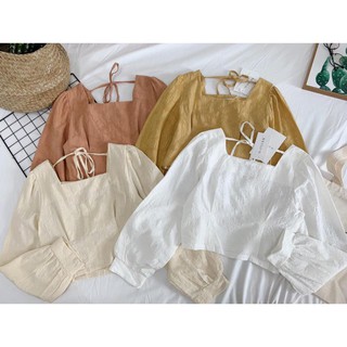 Áo Sơ Mi Nữ Công Sở Dáng Ngắn [xả lỗ] Hàng Xuất Xịn Thấm Hút Mồ Hôi nana store hn