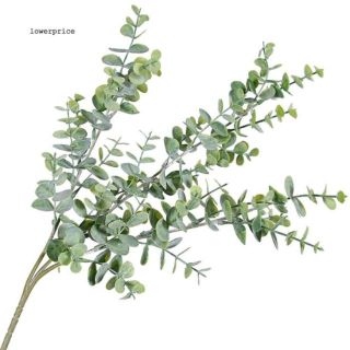 [ ĐẠO CỤ CHỤP ẢNH] Phụ kiện DECOR lá bạch đàn