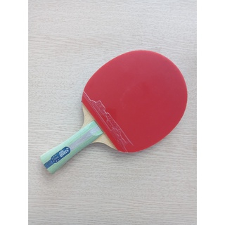 Vợt bóng bàn DHS-5002