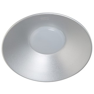 Đèn led Lowbay Rạng Đông D LB01L/30W