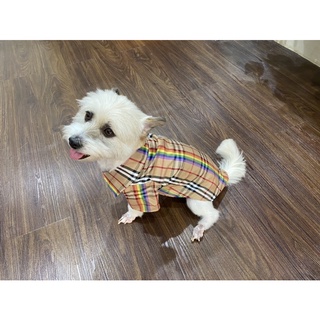 Áo Sơmi kẻ cho chó mèo