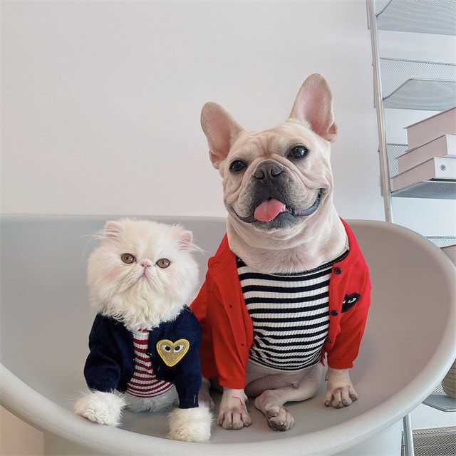 Áo khoác cardigan dệt kim thời trang thu đông xinh xắn dành cho thú cưng
