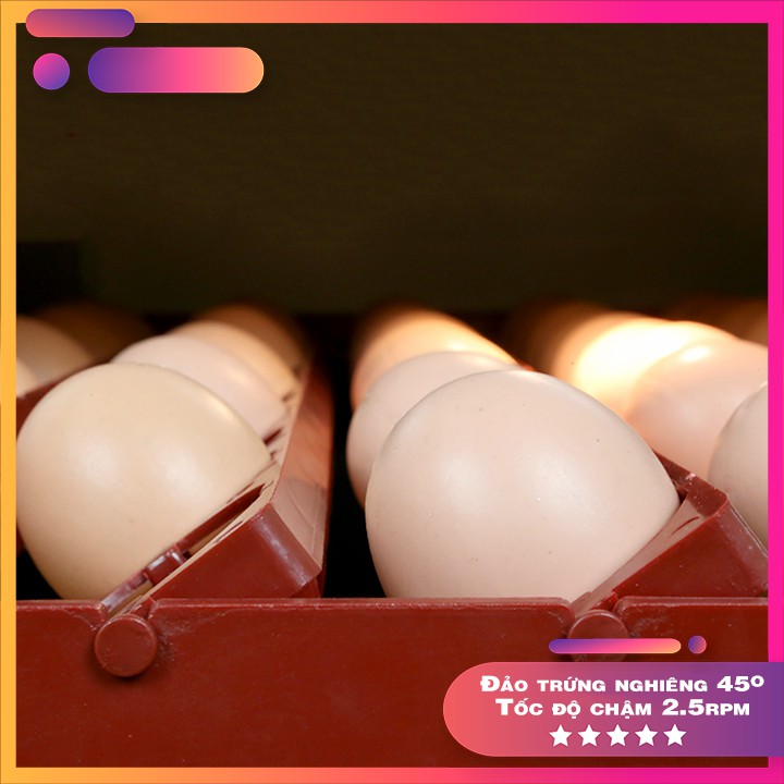 Máy ấp 66 trứng Bảo Tín Ver.2020